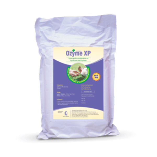 OZYME XP