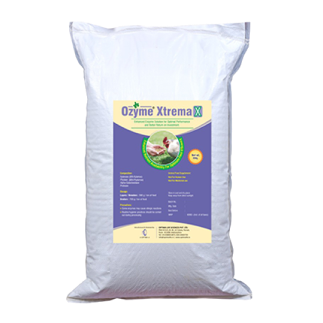 OZYME XTREMAX