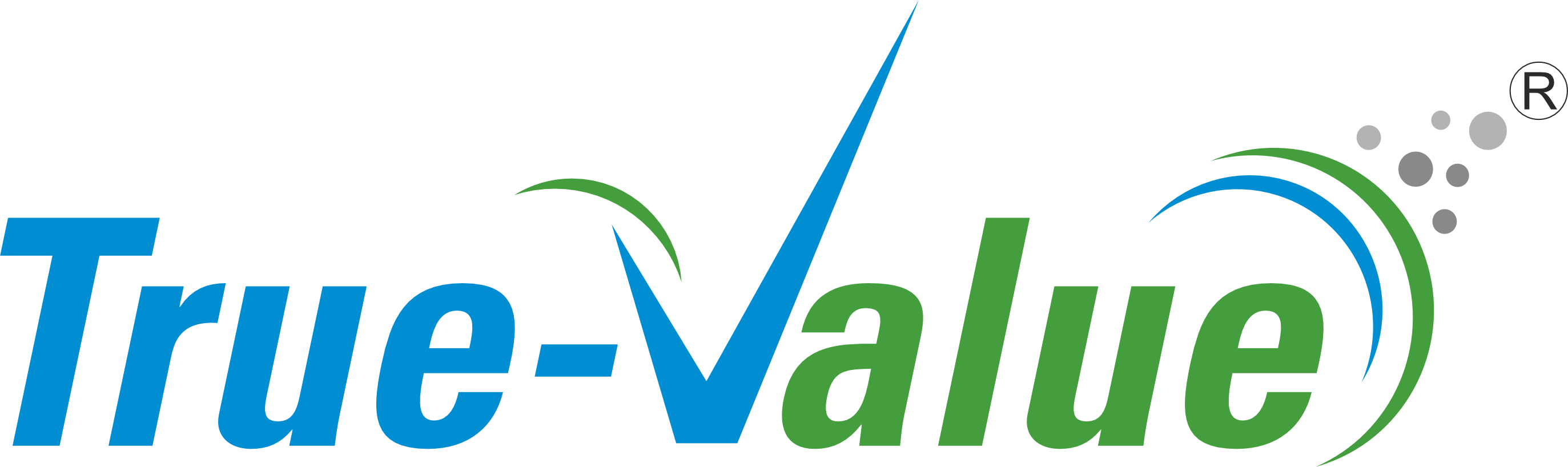 True Value logo