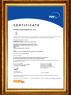 FAMI-QS