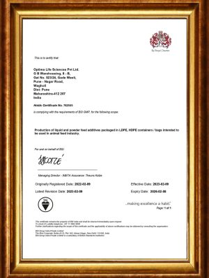 GMP